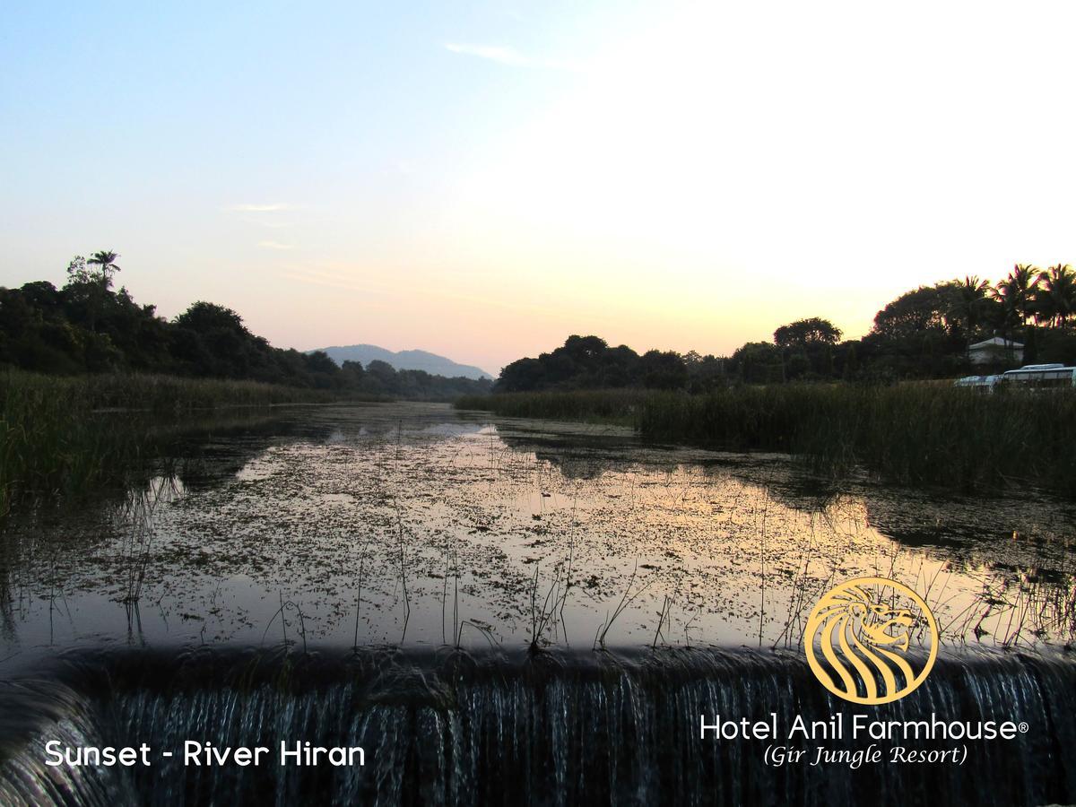 Hotel Anil Farmhouse Gir Jungle Resort Sasan Gir Luaran gambar